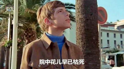 英俊少年在线观看,英俊少年在线观看，演绎青春热血传奇  第1张